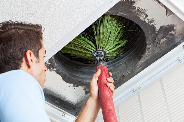 Best Duct Cleaning for Homes  in New York Mills, MN